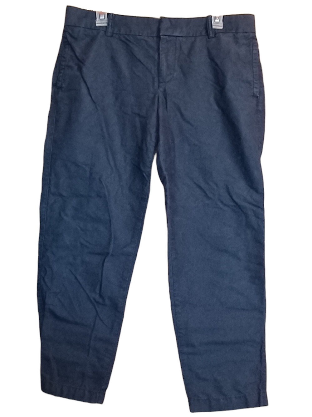 Women's J. Crew Oxford Scout Pants Size 8 Blue Capris